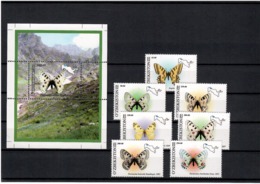 Uzbekistan 2006.Butterflies. 7v+S/S; 45,90,200,250,300,350x2,+1010   Michel # 628-34 + BL 43 - Uzbekistan