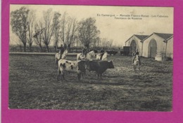 CARTES POSTALES EN CAMARGUES Manade Franco Russe Les Cabanes - Autres & Non Classés