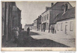 Carte Postale Belgique  Leysele  La Grande Rue  Trés Beau Plan - Alveringem