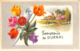 Souvenir De Durnal (colorisée, Fleurs) - Yvoir