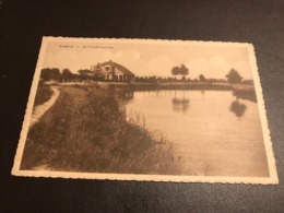 AVELGHEM - AVELGEM - Scheldeboorden - Gelopen - Uitg. Vermote Grymonprez - Avelgem