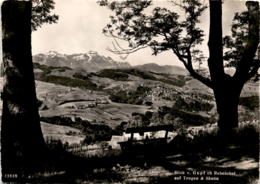 Blick V. Gupf Ob Rehetobel Auf Trogen & Säntis (23928) - Rehetobel