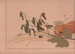 Art Asiatique/ Le Japon Artistique /Siegfried BING/ Gravure/ Charles GILLOT/Marpon & Flammarion/Paris/1888-1891   JAP25 - Stiche & Gravuren