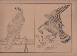 Art Asiatique/ Le Japon Artistique /Siegfried BING/ Gravure/ Charles GILLOT/Marpon & Flammarion/Paris/1888-1891   JAP29 - Stiche & Gravuren