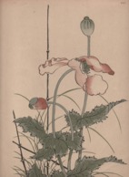 Art Asiatique/ Le Japon Artistique /Siegfried BING/ Gravure/ Charles GILLOT/Marpon & Flammarion/Paris/1888-1891   JAP37 - Stiche & Gravuren