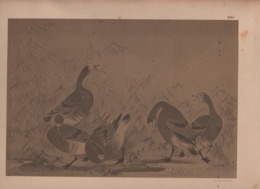 Art Asiatique/ Le Japon Artistique /Siegfried BING/ Gravure/ Charles GILLOT/Marpon & Flammarion/Paris/1888-1891   JAP40 - Stiche & Gravuren