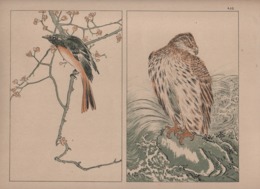 Art Asiatique/ Le Japon Artistique /Siegfried BING/ Gravure/ Charles GILLOT/Marpon & Flammarion/Paris/1888-1891   JAP47 - Stiche & Gravuren