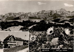 Gasthaus "Schäflisegg" Teufen (App.) - Blick Zum Alpstein - 2 Bilder (24641) * 7. 9. 1947 - Teufen