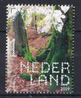 Nederland - Beleef De Natuur- Beukenbos - MNH - NVPH 3784 - Bäume