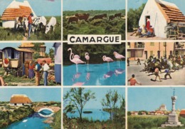 Cp , 13 , CAMARGUE , Souvenir , Multi-Vues - Saint-Louis-du-Rhône