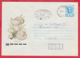 248524 / Cover POSTAGE DUE 1991 STARA ZAGORA - SOFIA  , Mushroom Stationery Bulgaria Bulgarie - Segnatasse