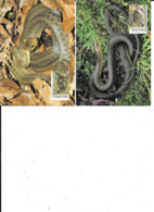 TIMBRES OBL MOLDAVIE SERPENTSL - Gebraucht