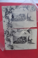 Cp Monaco Souvenir Hirondelle Lot 2 Cartes - Haven