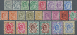 Indien: 1902-11 KEVII. Set To 5r. Plus 15r., With Add. 8 Colour Shades (= 23 Stamps), Mint Never Hin - Sonstige & Ohne Zuordnung