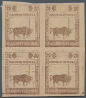Indonesien - Vorläufer: Java, 1945, Independence 20 S. Buffalo And Flag, In Brown Only, A Block Of F - Indonesia