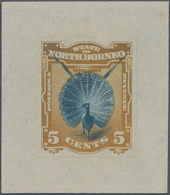 Nordborneo: 1894 Single Die Proof Of 5c. 'Great Argus Pheasant' In Blue & Ochre, Fine And Scarce. - North Borneo (...-1963)