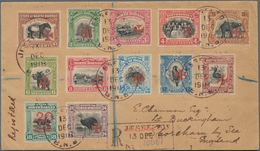 Nordborneo: 1916 Set Of 12 Up To 24c., All Optd. By Maltese Cross In Vermilion, With 2c. Perf 15, 4c - Nordborneo (...-1963)