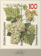 Thematik: Alkohol-Wein / Alcohol-wine: 1990, Bund, Nicht Angenommener Künstlerentwurf (17x20) Von Pr - Vini E Alcolici