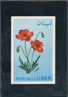 Thematik: Flora, Botanik / Flora, Botany, Bloom: 1964, Libanon, Issue Flowers, Artist Drawing (92x14 - Autres & Non Classés