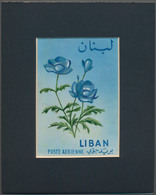 Thematik: Flora, Botanik / Flora, Botany, Bloom: 1964, Libanon, Issue Flowers, Artist Drawing (190x1 - Autres & Non Classés