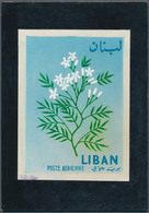 Thematik: Flora, Botanik / Flora, Botany, Bloom: 1964, Libanon, Issue Flowers, Artist Drawing (105x1 - Autres & Non Classés