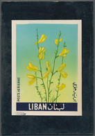 Thematik: Flora, Botanik / Flora, Botany, Bloom: 1964, Libanon, Issue Flowers, Artist Drawing (105x1 - Autres & Non Classés