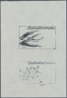 Thematik: Flora, Botanik / Flora, Botany, Bloom: 1973, Czechoslovakia, 60h. "Tulipa", Three Progress - Sonstige & Ohne Zuordnung