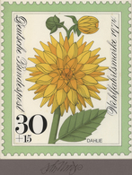 Thematik: Flora, Botanik / Flora, Botany, Bloom: 1974, Bund, Nicht Angenommener Künstlerentwurf (17x - Andere & Zonder Classificatie