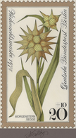 Thematik: Flora, Botanik / Flora, Botany, Bloom: 1975, Berlin, Nicht Angenommener Künstlerentwurf (1 - Autres & Non Classés