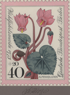 Thematik: Flora, Botanik / Flora, Botany, Bloom: 1975, Berlin, Fast Identischer Künstlerentwurf (17x - Andere & Zonder Classificatie