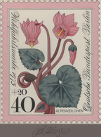 Thematik: Flora, Botanik / Flora, Botany, Bloom: 1975, Berlin, Fast Identischer Künstlerentwurf (17x - Autres & Non Classés