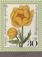 Thematik: Flora, Botanik / Flora, Botany, Bloom: 1975, Bund, Fast Identischer Künstlerentwurf (17x20 - Sonstige & Ohne Zuordnung