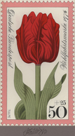 Thematik: Flora, Botanik / Flora, Botany, Bloom: 1976, Bund, Nicht Angenommener Künstlerentwurf (16x - Autres & Non Classés