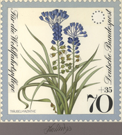 Thematik: Flora, Botanik / Flora, Botany, Bloom: 1980, Bund, Nicht Angenommener Künstlerentwurf (21, - Altri & Non Classificati