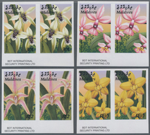 Thematik: Flora, Botanik / Flora, Botany, Bloom: 2003, MALDIVES: Native Plants Complete Set Of Four - Andere & Zonder Classificatie