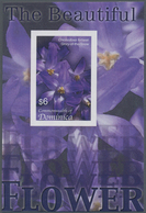 Thematik: Flora, Botanik / Flora, Botany, Bloom: 2005, Dominica. Imperforate Souvenir Sheet (1 Value - Andere & Zonder Classificatie