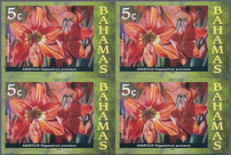 Thematik: Flora, Botanik / Flora, Botany, Bloom: 2008, Bahamas. Imperforate Block Of 4 For The 5c Va - Other & Unclassified