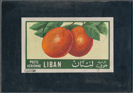 Thematik: Flora-Obst + Früchte / Flora-fruits: 1955, Libanon, Issue Fruit, Artist Drawing(140x85) Or - Fruit