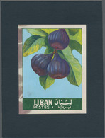 Thematik: Flora-Obst + Früchte / Flora-fruits: 1962, Libanon, Issue Fruit, Artist Drawing(101x134) F - Frutta