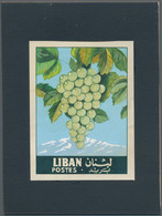 Thematik: Flora-Obst + Früchte / Flora-fruits: 1962, Libanon, Issue Fruit, Artist Drawing(101x134) W - Fruits