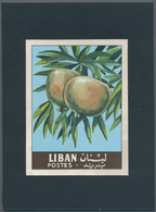 Thematik: Flora-Obst + Früchte / Flora-fruits: 1962, Libanon, Issue Fruit, Artist Drawing(101x134) P - Obst & Früchte