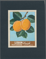 Thematik: Flora-Obst + Früchte / Flora-fruits: 1962, Libanon, Issue Fruit, Artist Drawing(100x133) A - Fruit