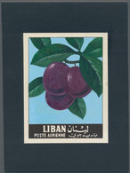 Thematik: Flora-Obst + Früchte / Flora-fruits: 1962, Libanon, Issue Fruit, Artist Drawing(102x144) P - Obst & Früchte