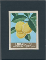 Thematik: Flora-Obst + Früchte / Flora-fruits: 1962, Libanon, Issue Fruit, Artist Drawing(102x144) P - Fruit