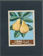 Thematik: Flora-Obst + Früchte / Flora-fruits: 1962, Libanon, Issue Fruit, Artist Drawing(100x133) P - Fruit