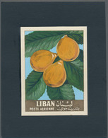 Thematik: Flora-Obst + Früchte / Flora-fruits: 1962, Libanon, Issue Fruit, Artist Drawing(100x134) M - Obst & Früchte