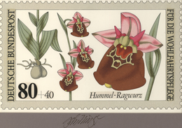 Thematik: Flora-Orchideen / Flora-orchids: 1984, Bund, Nicht Angenommener Künstlerentwurf (26x16) Vo - Orchideeën