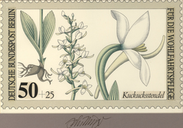 Thematik: Flora-Orchideen / Flora-orchids: 1984, Bund, Nicht Angenommener Künstlerentwurf (26x16) Vo - Orchideen