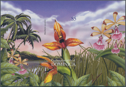 Thematik: Flora-Orchideen / Flora-orchids: 2004, Dominica. Imperforate Souvenir Sheet (1 Value) Show - Orchideen