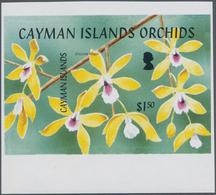 Thematik: Flora-Orchideen / Flora-orchids: 2005, CAYMAN ISLANDS: Orchids Complete Set Of Five In Hor - Orchidées